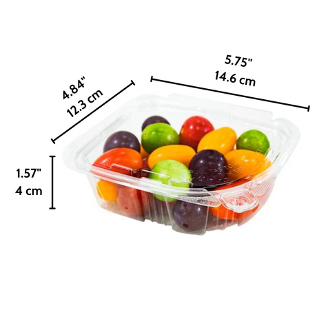 PLS-12  12oz PET Clear Rectangular Hinged Safety Lock Salad Container - Size