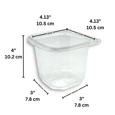 DC-24 | 24oz PET Clear Safety Lock Square Container (Base Only) - size