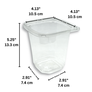 DC-32 | 32oz PET Clear Safety Lock Square Container (Base Only) - size
