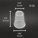 HD-12 | 12oz PET Clear Cold Drink Cup - size