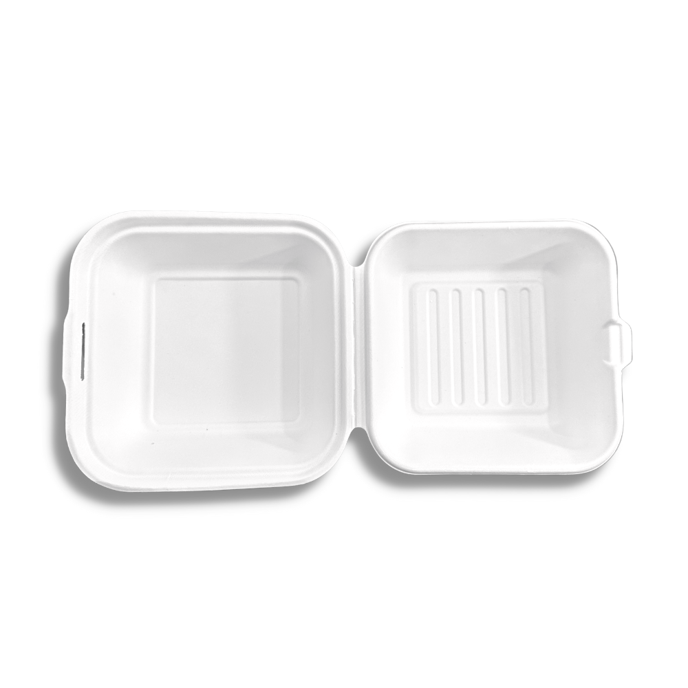 HD-CCS6-1 | Eco-friendly Sugarcane Square Clamshell Food Container | 6x6x3" - open