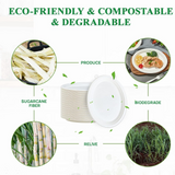 HD-COP10 | 10" Sugarcane White Oval Plate - material