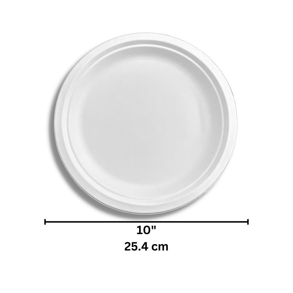 HD-RP10 | 10" Eco-Friendly Sugarcane White Plate - 500 Pcs-size