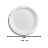 HD-RP10 | 10" Eco-Friendly Sugarcane White Plate - 500 Pcs-size