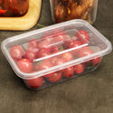  16oz Microwaveable PP Clear Rectangular Food Container with tomatoes in side